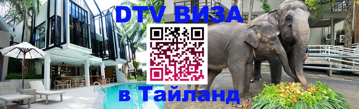DTV Visa Thailand — прайс и условия, виза без дополнительных документов - Волгоград 